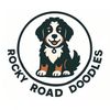 RockyRoadDoodles |Bernedoodles