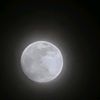 moon.fixture