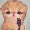 williammm007