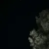 rul__4