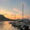 _.omsofia._