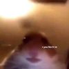 dopamine.bean