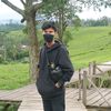 tisue.galon