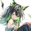 ds4wf