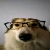 weertyxx1337