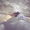 chilldilogi00