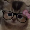 julussiaa0