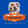 thainguyen7447