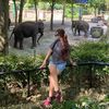 silviaattf