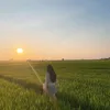 linhnguyen04vt