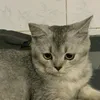 hajj.1