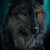 magyn_25