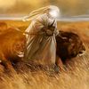 mouhamad_khreiss