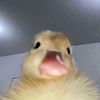 .siiikkkeee