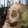 neverkanezarust