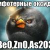 1ttim2019