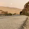 lssm111
