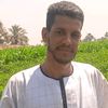 essammahmoud26