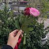 miraa__tiktok
