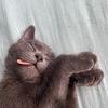 excitingdust