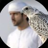 faris_5026