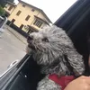jozymmi