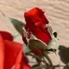 rosalinde9