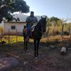 chiri326344252