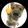 fernanda_xuu