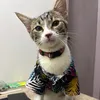 pawsnpurrsbywayoy