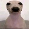 user572819190