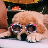 .preppy._.vibe
