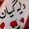 sokarmhamadsalh26