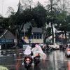 lucubanget162