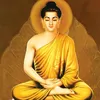 anhlaly3