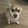 fcjscc