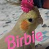 pink_birb