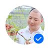 ngochoan_orchid
