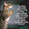 rosa_dah15