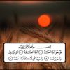 safih93