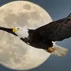 userpsfrpxdix5