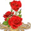 red_love_rose