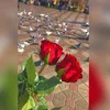 faizanawaz12