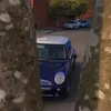 zzznelsonzzz