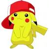 pikapik7466
