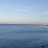siggi_s1981