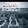 bleedgreen_34