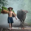 bongda.com01