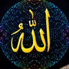 hollyquran58