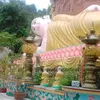 truongduong50